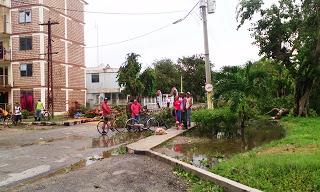 Imágenes de Manatí luego del paso de Irma