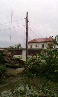 Imágenes de Manatí luego del paso de Irma