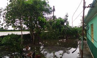 Imágenes de Manatí luego del paso de Irma