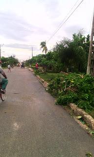 Imágenes de Manatí luego del paso de Irma