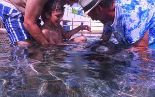 Aquanatura Terapia Leones marinos Parque-acuático-accesible-Benidorm-blogger-Terra Natura-Visit Benidorm-ocio