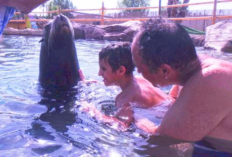 Aquanatura Terapia Leones marinos Parque-acuático-accesible-Benidorm-blogger-Terra Natura-Visit Benidorm-ocio