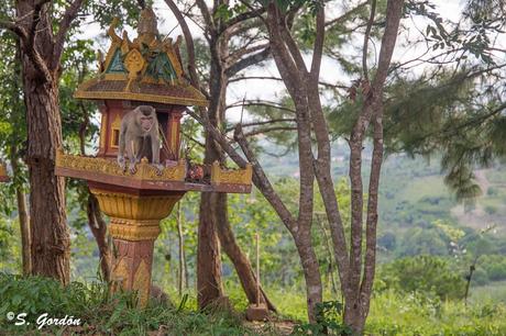 MONDULKIRI: LOS ELEFANTES DE LOS BUNONG