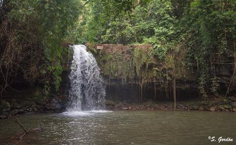 MONDULKIRI: LOS ELEFANTES DE LOS BUNONG