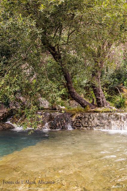 LES FONTS DE L´ALGAR. ALICANTE