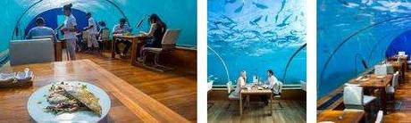 Restaurantes increíbles en el mundo Restaurantes increíbles en el mundo