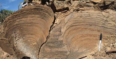 estromatolitos y origen de la vida estromatolitos y origen de la vida