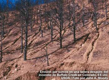 Erosión después de un incendio Erosión por surcos