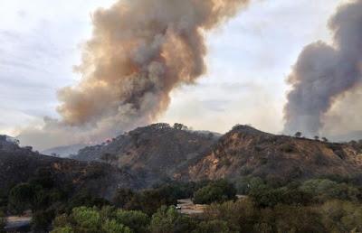 Columnas de humo en un incendio forestal Volatilización de compuestos químicos en incendio