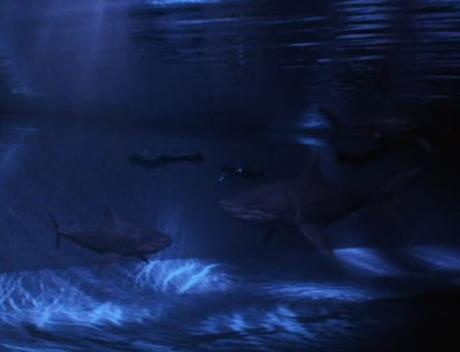 Muerte en las profundidades (2003), tiburones de destrucción masiva