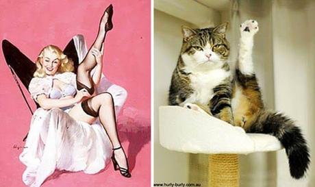 14 graciosas fotos de gatos posando como modelos Pin-up