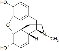 estructura morfina