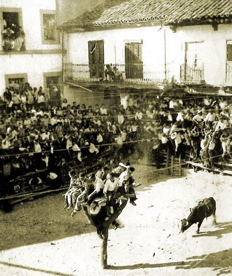 Los toros del pueblo