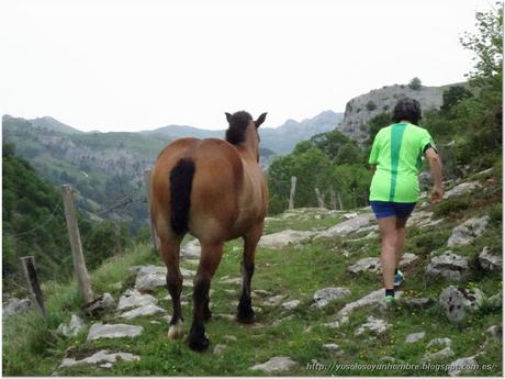 Ruta running Pasiega: San Roque de Riomiera - Valdicio y vuelta