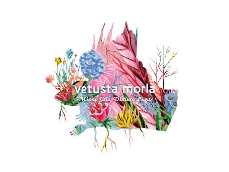 Vetusta Morla saca nuevo disco: Mismo Sitio, Distinto Lugar