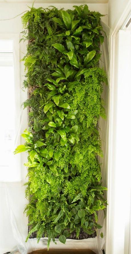 Deco: la maravilla de los jardines verticales Deco: la maravilla de los jardines verticales