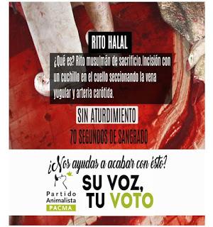 ARTÍCULO: También condenamos las matanzas religiosas ARTÍCULO: También condenamos las matanzas religiosas