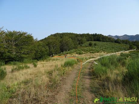 Ruta Torre Bermeja:Collado Bustiello