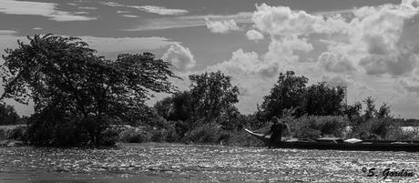 KRATIE: LA SONRISA DEL DELFIN DE IRRAWADDY