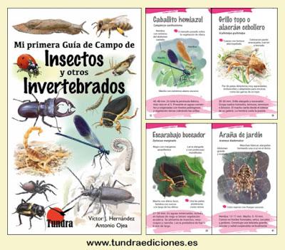 Mi primera Guía de Campo de Insectos y otros Invertebrados