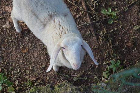 italy desdeestelaodemimundo.blogspot.it italy desdeestelaodemimundo.blogspot.it