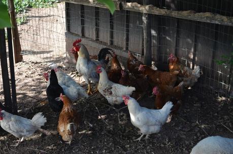 italy desdeestelaodemimundo.blogspot.it italy desdeestelaodemimundo.blogspot.it