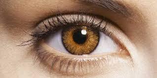 blefarolaser o blefaroplastia química para las bolsas en los ojos blefarolaser o blefaroplastia química para las bolsas en los ojos