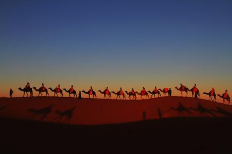 CATAI TE LLEVA A CONOCER A LOS REYES MAGOS CATAI TE LLEVA A CONOCER A LOS REYES MAGOS