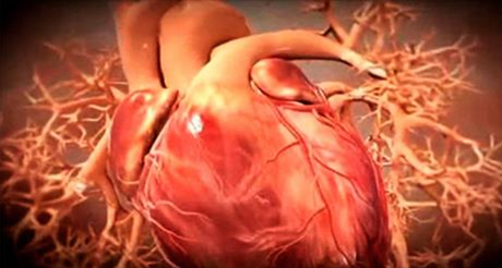 quemar grasa abdominal rapidamente mujer Deberas eliminar quemar grasa abdominal rapidamente mujer consumo cha muy