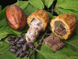 El chocolate posible solución a los cálculos renales de ácido úrico