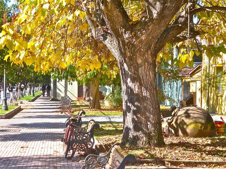 Tips: cómo ahorrar en otoño