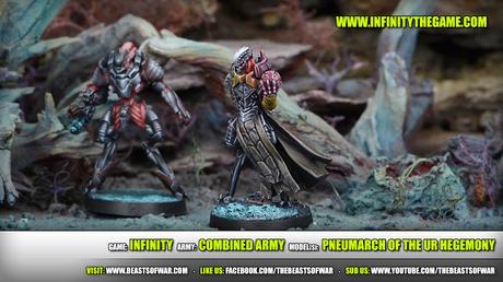 Novedades de Octubre para Infinity y sniper shot