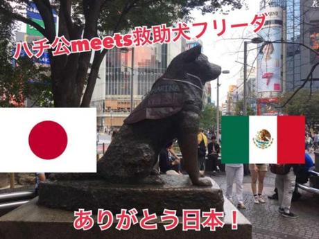 Colocan chaleco de ‘Marina’ a estatua de Hachiko en Japón