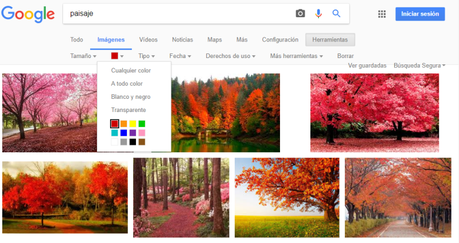 Búsqueda de imágenes en Google Búsqueda de imágenes en Google