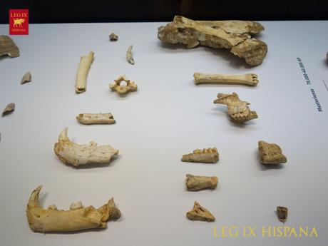 Cueva del Boquete de Zafarraya Cueva del Boquete de Zafarraya