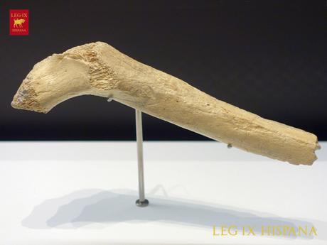 Cueva del Boquete de Zafarraya Cueva del Boquete de Zafarraya