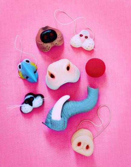 Fotografías de Virgina MacDonald Fotografías de Virgina MacDonald