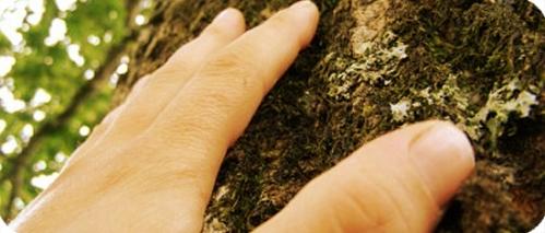 imagen82 Como escribir con el Tacto (II)