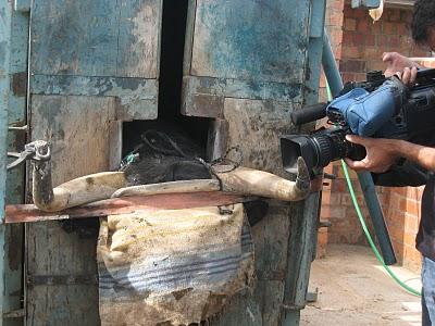 Uso y abuso de las fundas Uso y abuso de las fundas