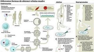 La UE defiende que el embrión es un ser humano desde su concepción La UE defiende que el embrión es un ser humano desde su concepción