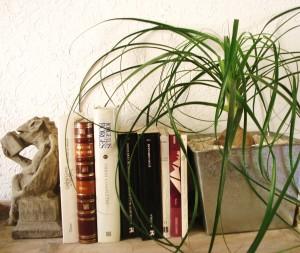 Los clásicos Un clásico (reseña de un cuento)