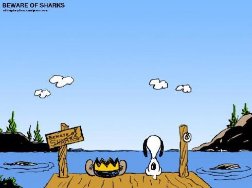 CB-BewareOfSharks Charlie se incorpora a este blog