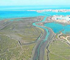 Histórica marea en Cádiz