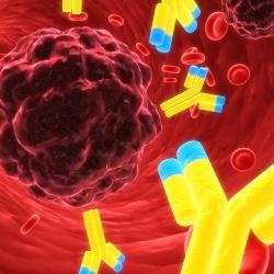 Identificada una sustancia que frena el crecimiento del cancer Identificada una sustancia que frena el crecimiento del cancer