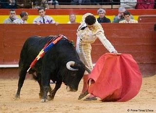 HUBO TOROS, PERO NO HUBO TOREROS HUBO TOROS, PERO NO HUBO TOREROS