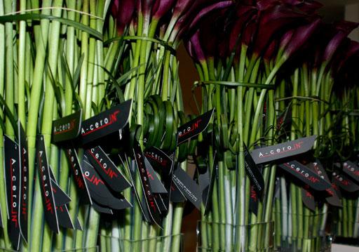 A-cero IN 2ª Parte del Reportaje de la inauguración de la tienda A-cero In “DETALLES”