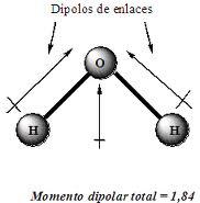 El romeo de los tupperwares... momento dipolar del agua
