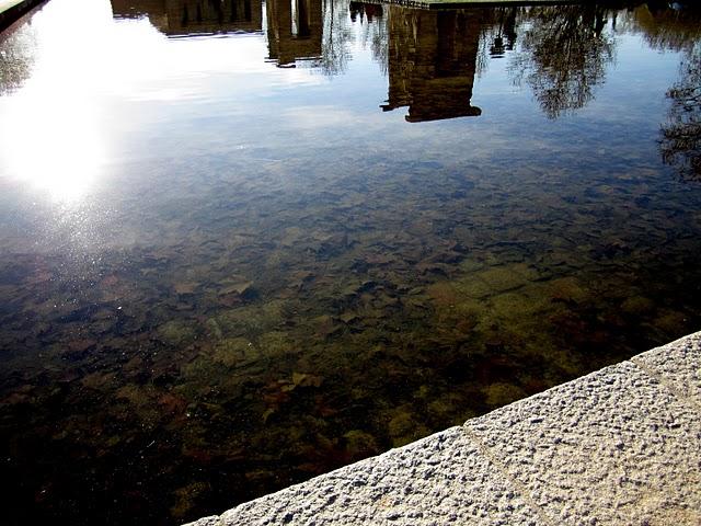 ... photoshoot ... leopardeando por debod