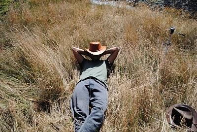 CAMPO en TRONGOL -CHILE