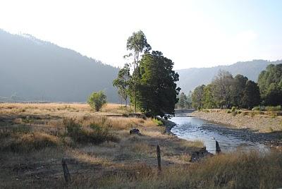 CAMPO en TRONGOL -CHILE